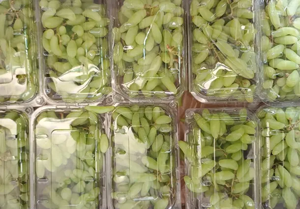 01 product-grapes